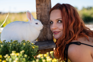 ЛІСАН - ПІСНЯ ПРО ЗАЙЦІВ (прем'єра)