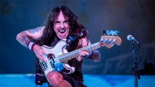 Стів Гарріс з Iron Maiden хоче перетворити свій будинок у Великобританії в бутик-готель для шанувальників.